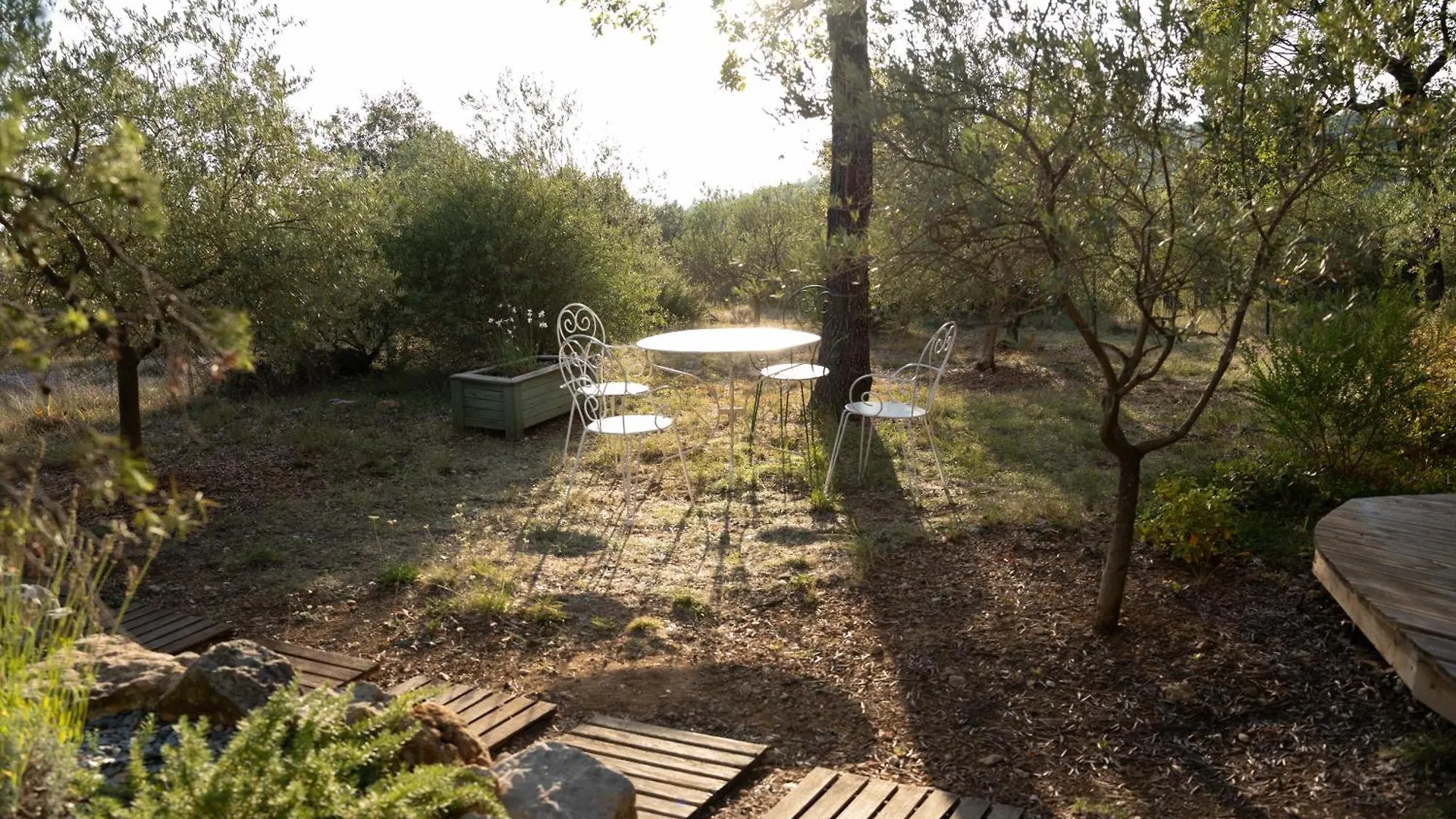 Chalet Dans Plusieurs Hectares De Nature Barjols France